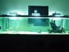DSC05323.jpg