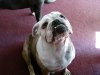 DSC00150.JPG