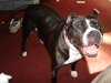 DSC00137.JPG