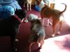 DSC00145.JPG