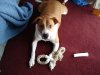 DSC00144.JPG
