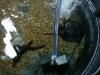 DSC00178.JPG