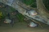 100_1404.jpg