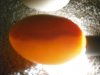 eggs 002.jpg