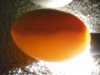 eggs 003.jpg