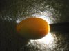 eggs 005.jpg
