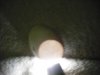 eggs 009.jpg