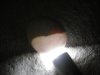 eggs 010.jpg