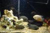 DSC05072.JPG