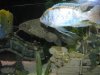june 038.JPG