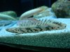 DSCN4316.JPG