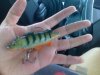 Picture0308.jpg