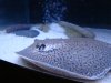 DSC02093.JPG