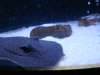 DSC02094.JPG