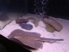 DSC02107.JPG