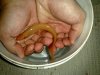 07062009047.jpg