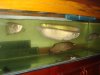 DSC06609.JPG