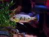 DSC07267.JPG