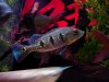 DSC07272.JPG