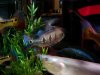 DSC07268.JPG