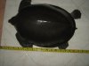 arowana 281.jpg