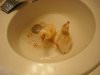 duckz 371.JPG