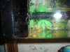 DSC00302.JPG