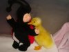duck 1 003.JPG