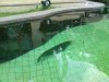 DSC00293.jpg