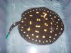 6-18 BD import 001.JPG