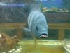 DSC00154.JPG