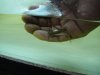 DSC00361.JPG