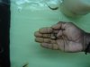 DSC00362.JPG