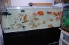 DSC_0525.JPG