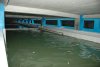 DSC_0544.jpg