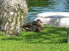 DSCN4460.JPG