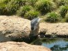 DSCN4466.JPG