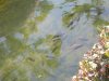 DSCN4464.JPG