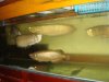 DSC06941.JPG