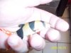 june 24 2009 032.jpg