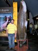 mearapaima.jpg