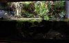 plants2.jpg