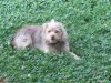 Fred pics 001.jpg