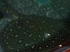25062009150.jpg