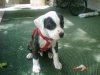 DSC00001.JPG