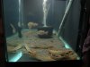 DSC01206.JPG