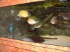 DSCF0057.JPG