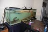 DSC_4042.JPG