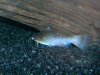 DSCN4509.JPG