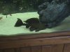 DSC00575.JPG